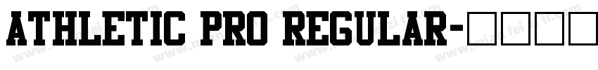 Athletic Pro Regular字体转换